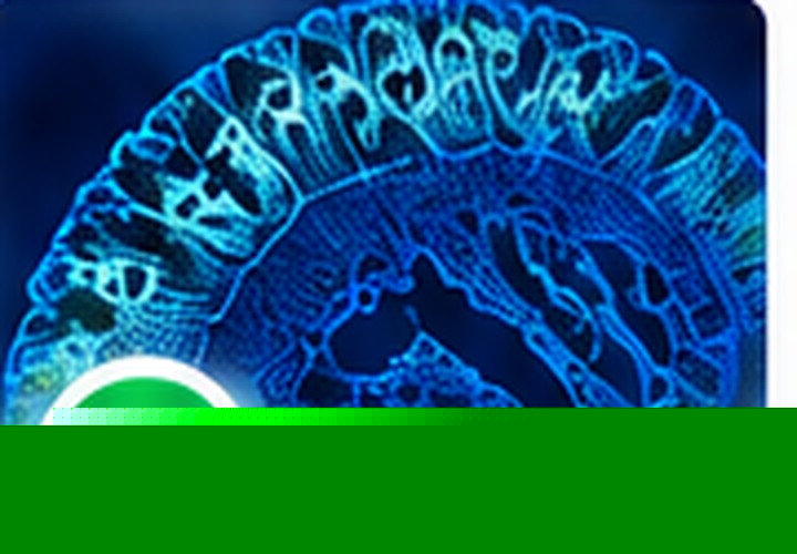Histology & Pathology fluorescence research