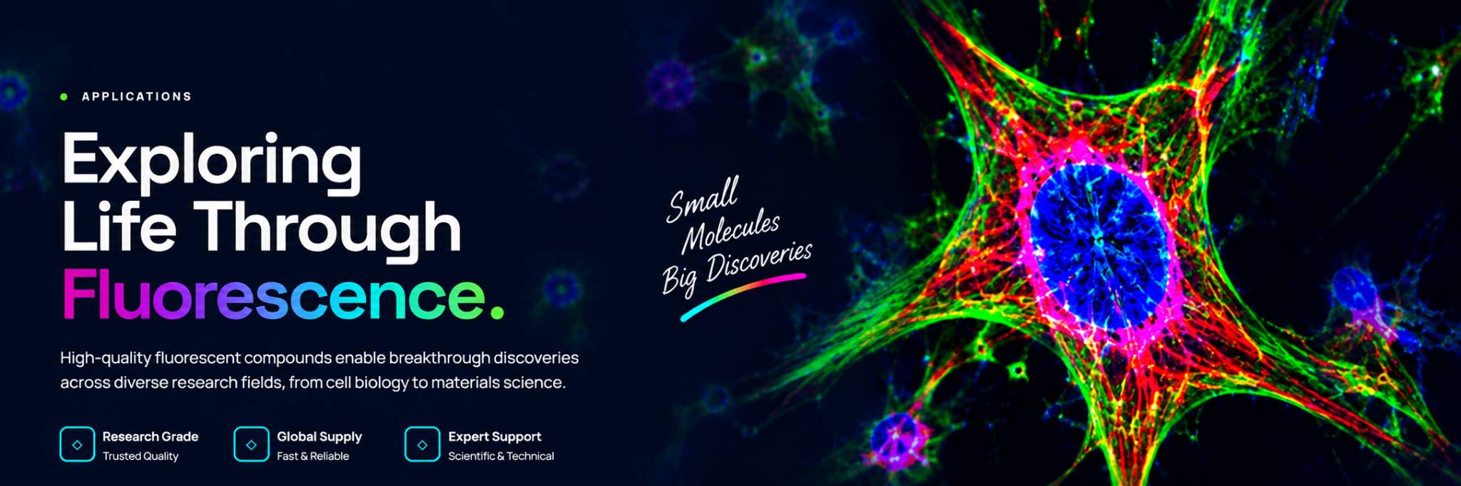 Applications — Exploring Life Through Fluorescence. Small Molecules, Big Discoveries. Fluorescently stained cell microscopy imagery with research grade, global supply and expert support highlights.